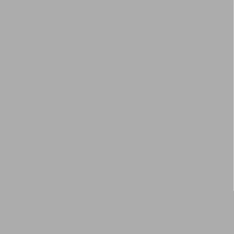 Americana patio paint DCP12 Gris beton