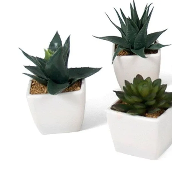 Maceta cactus 12 cm | Recargables 1000 Veces |