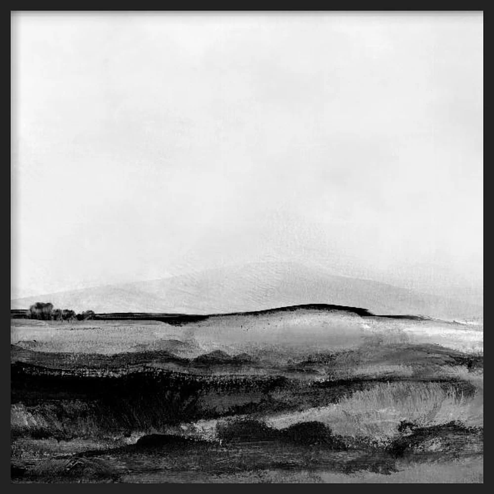 Mono Landscape No1 1x