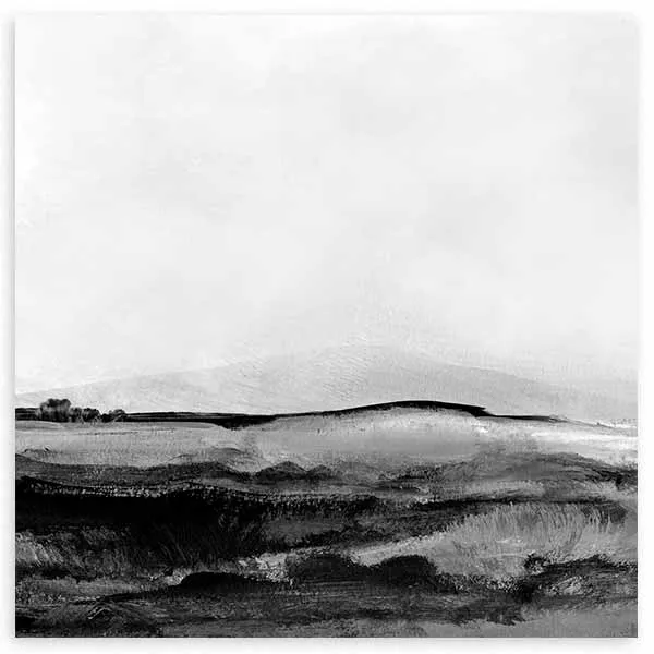 Mono Landscape No1 1x