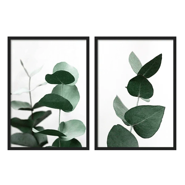 Outlet - Two Combo - Eucalyptus Fresh 1x