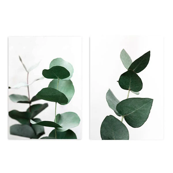 Outlet - Two Combo - Eucalyptus Fresh 1x