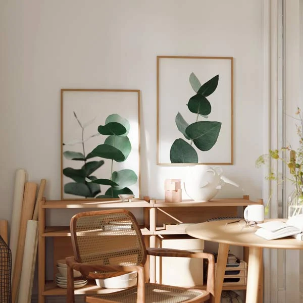 Outlet - Two Combo - Eucalyptus Fresh 1x