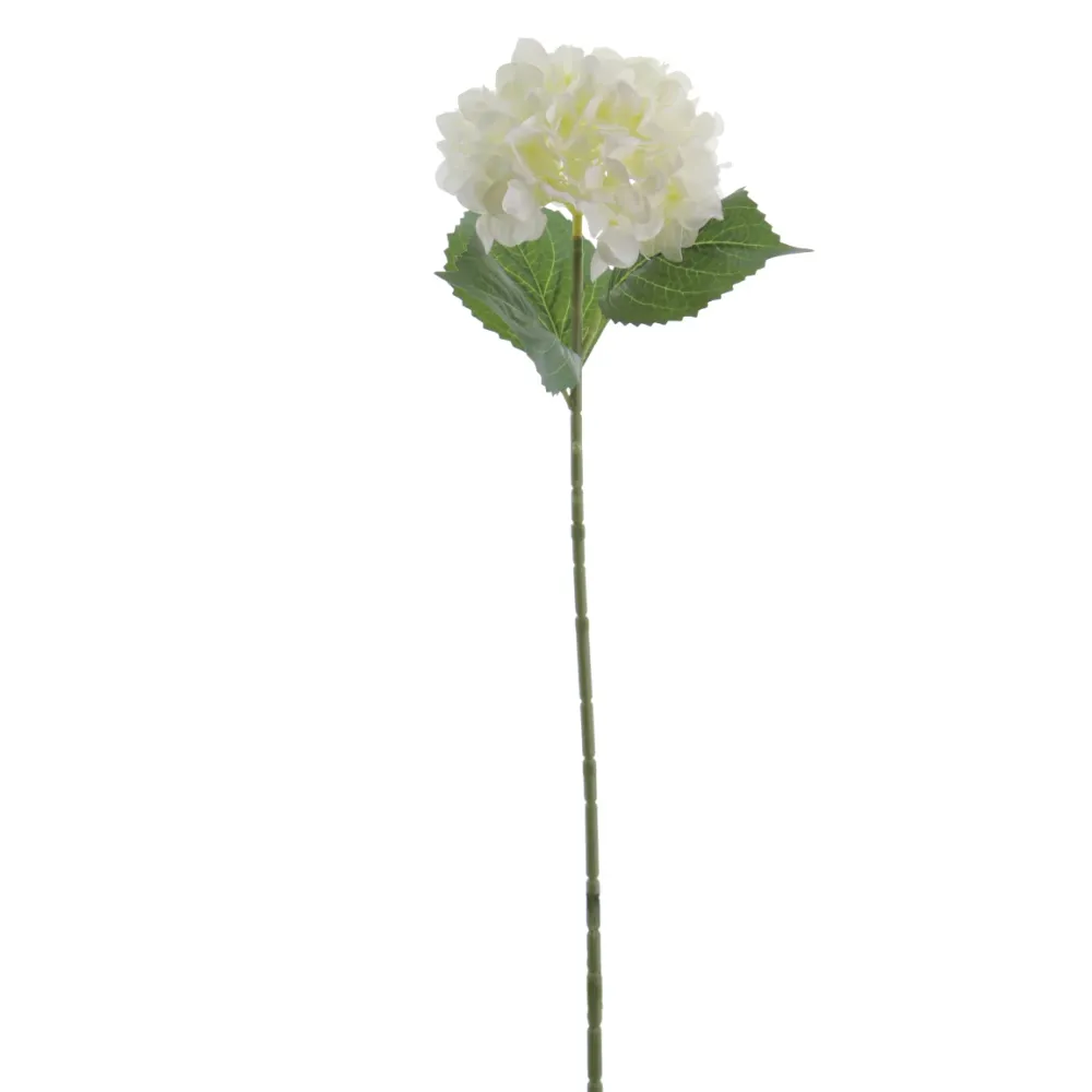 Rama Hydrangea Crema 65cm 3A-01