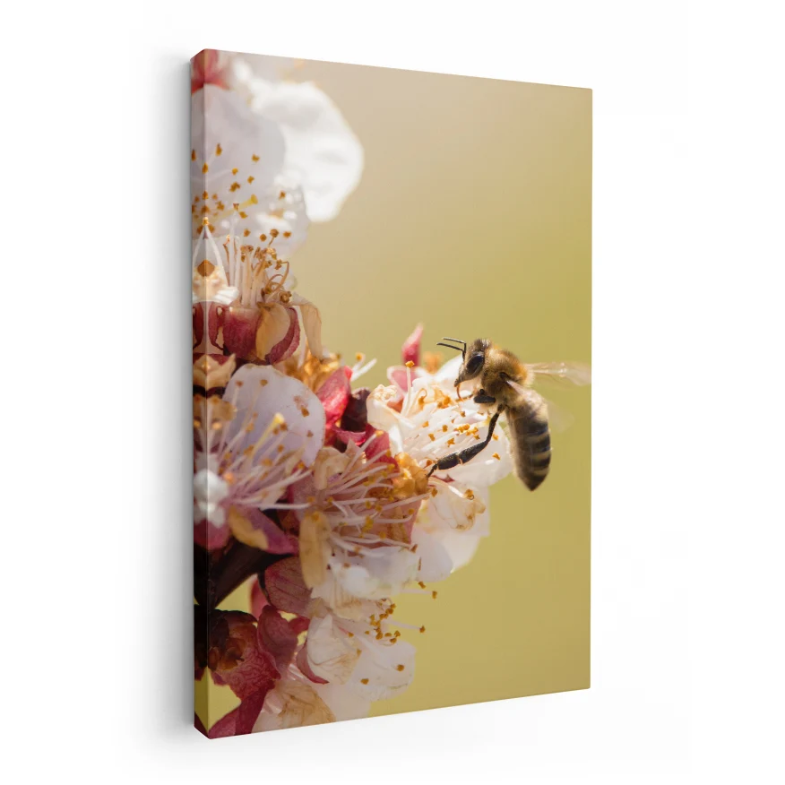 Abeja Poster