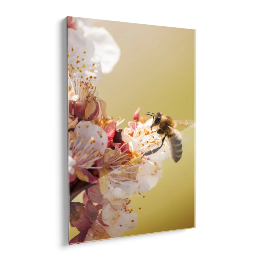 Abeja Poster