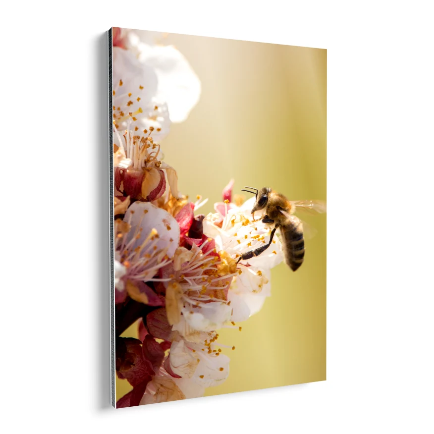 Abeja Poster