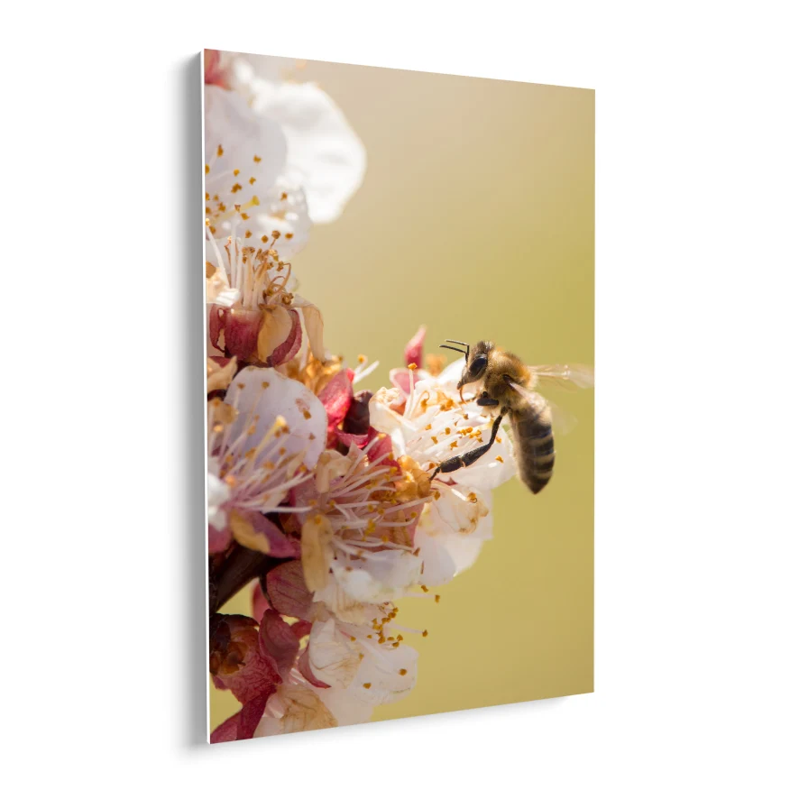 Abeja Poster