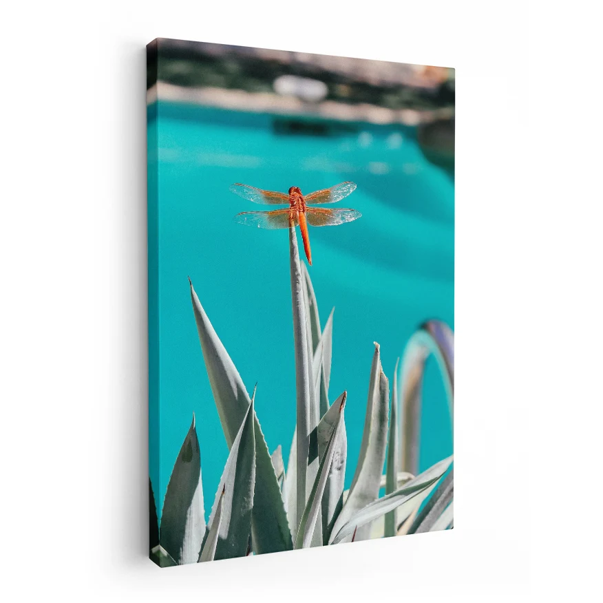 Agave Poster