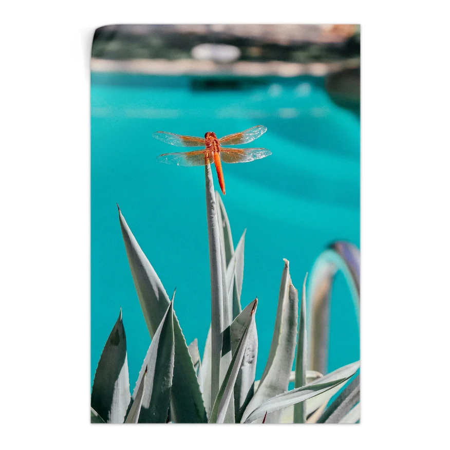 Agave Poster