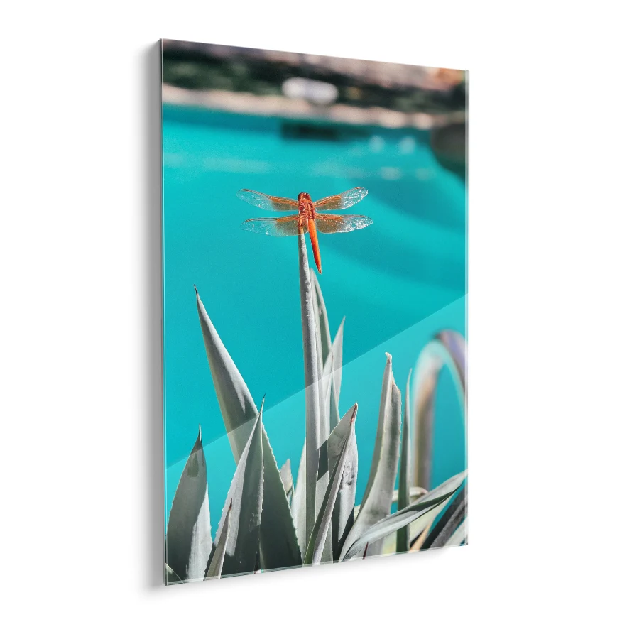 Agave Poster