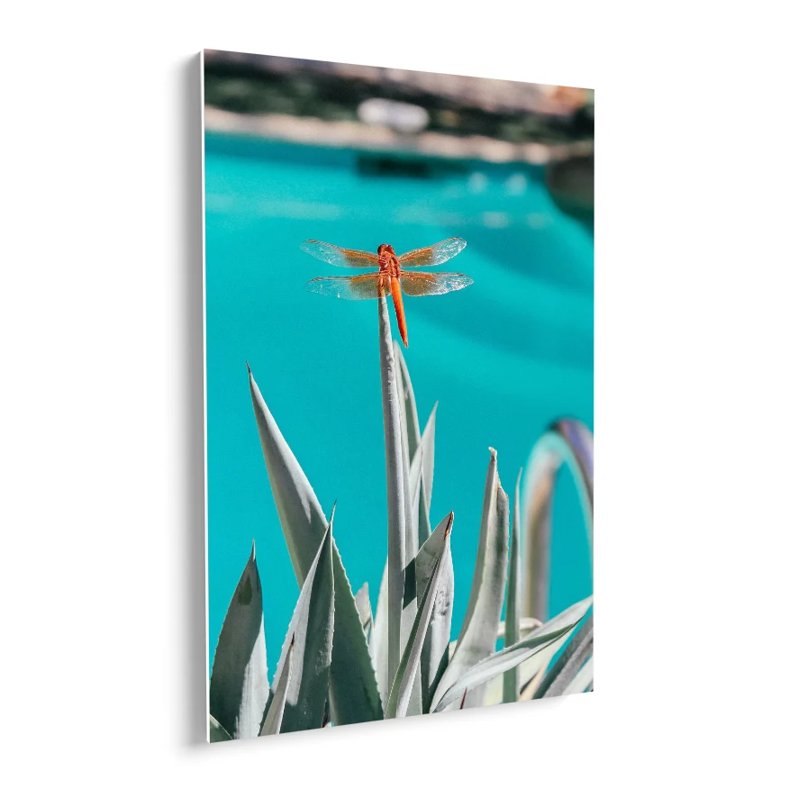 Agave Poster
