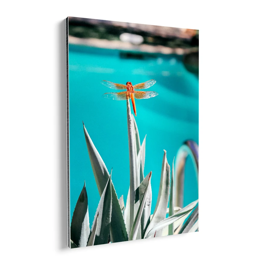 Agave Poster