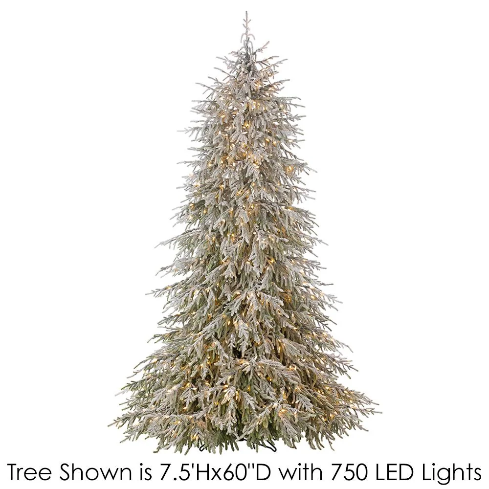 PINO 12 ^ LUZ LED ALLSTATE