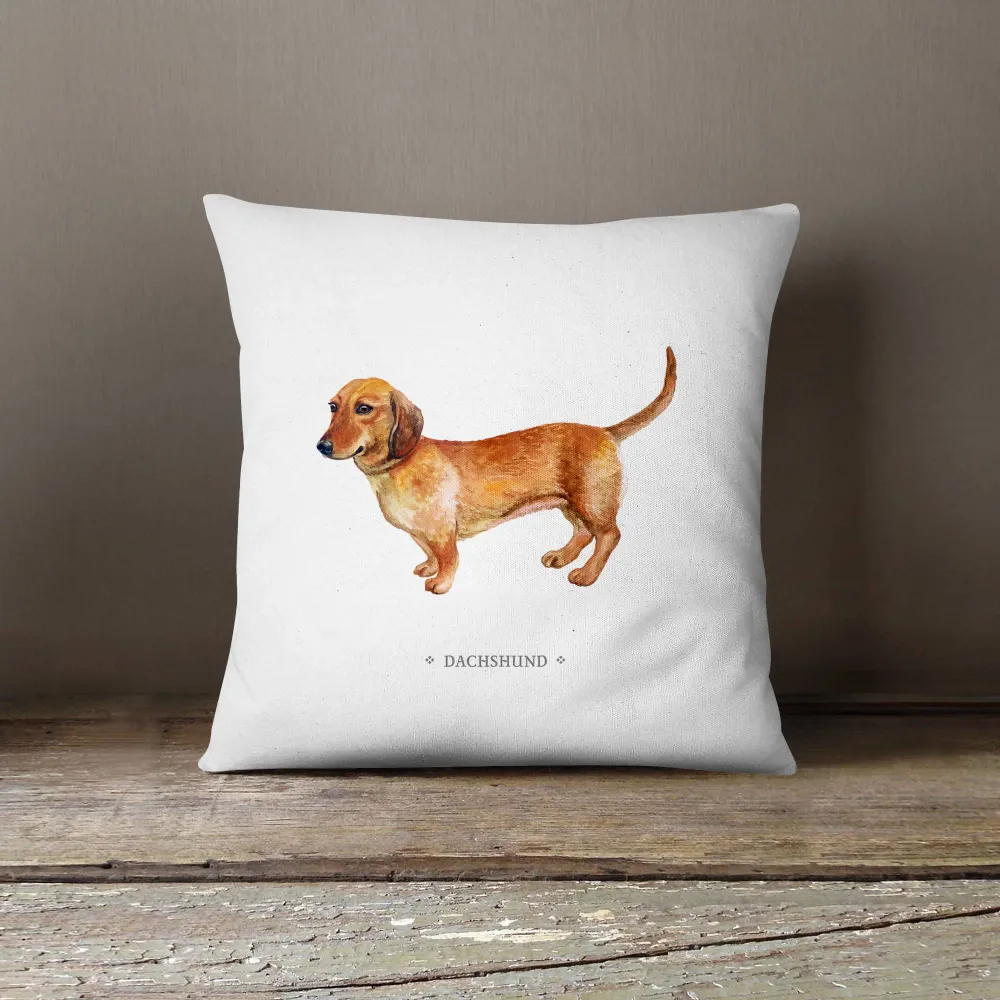 Funda cojín Dachshund - Salchicha Andes1