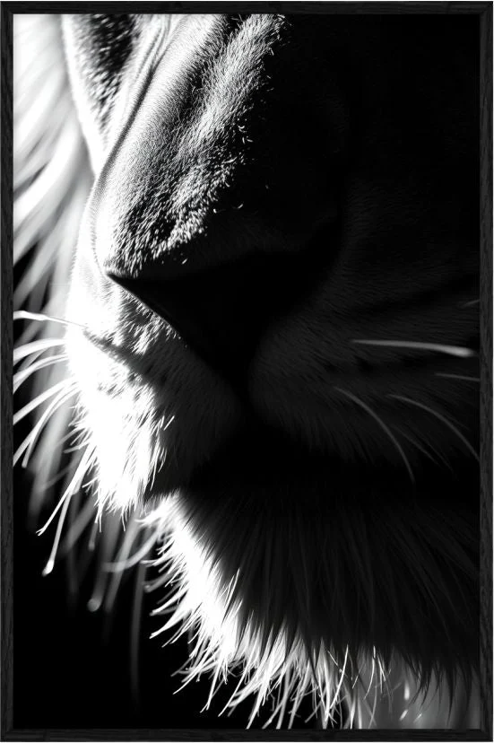 Lion edges Animal Black