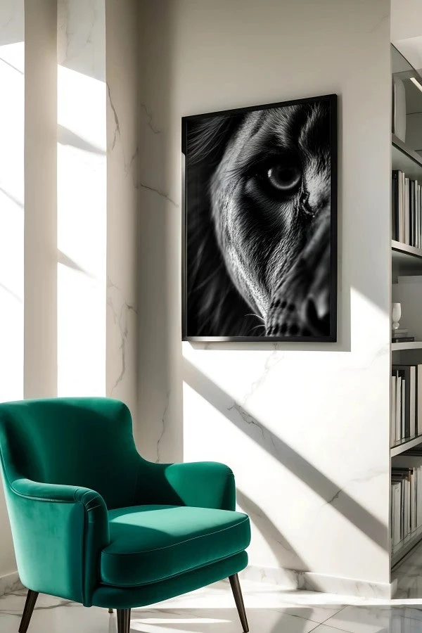Lion gaze Animal Black