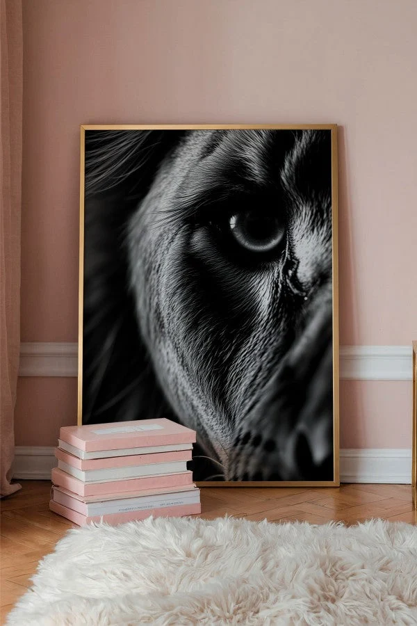 Lion gaze Animal Black