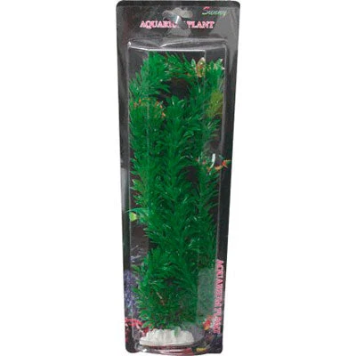Planta Sin Blíster 40 cm Biopro