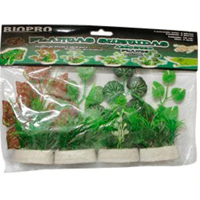 Plantas Terrario 10 cm 4 Piezas Biopro