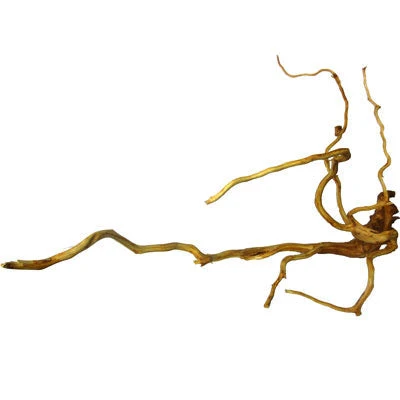 Raiz De Viñedo 30 - 50 cm Biopro
