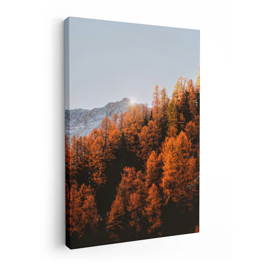 Bosque Naranja Poster
