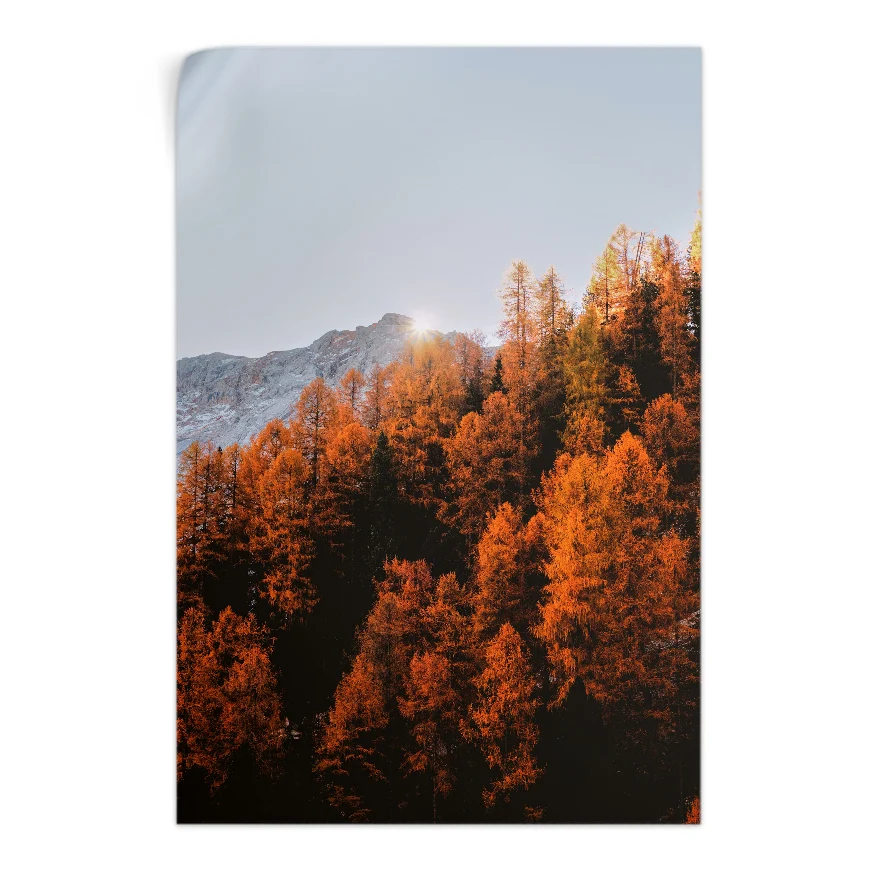 Bosque Naranja Poster