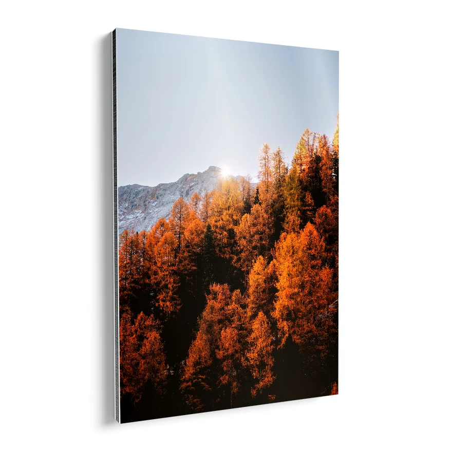 Bosque Naranja Poster