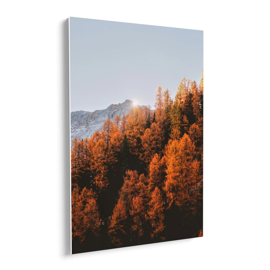 Bosque Naranja Poster