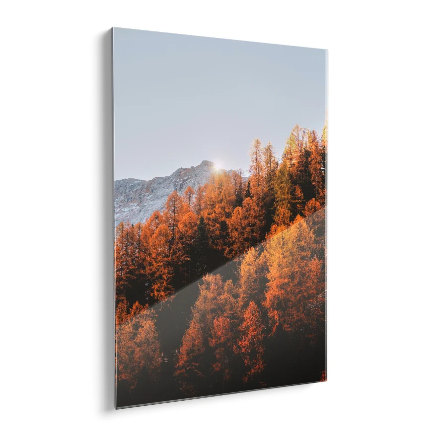 Bosque Naranja Poster