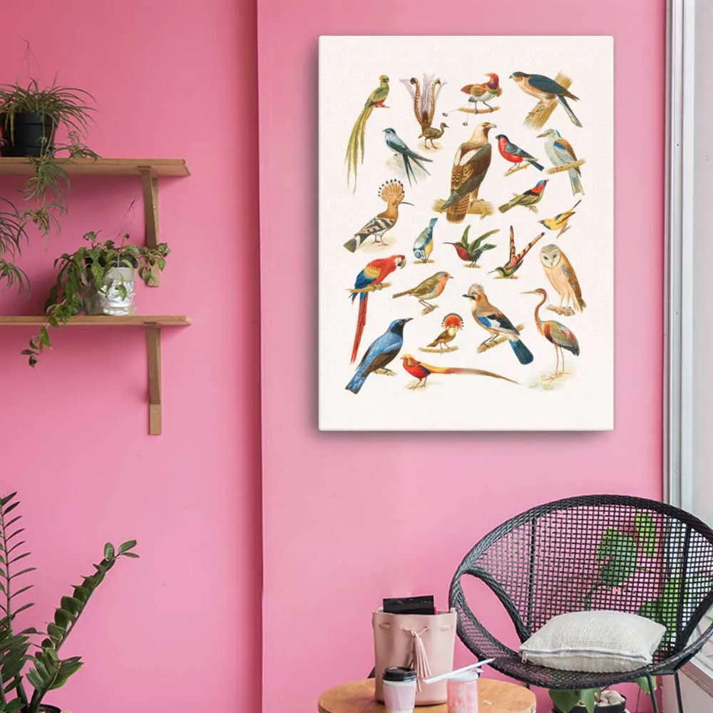 22 especies de aves - lienzo Boston Public Library