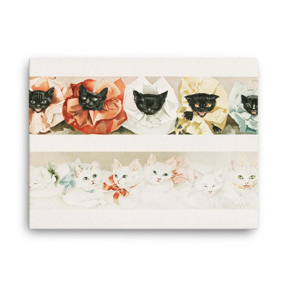 Gatos - lienzo Boston Public Library