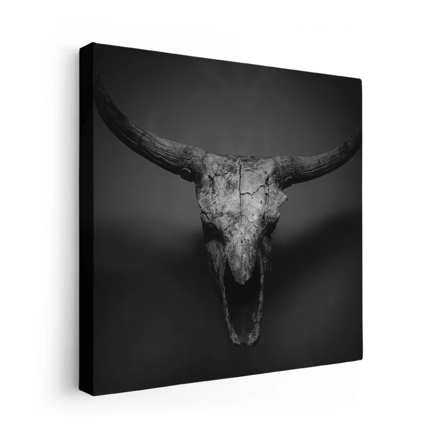 Bull skull Poster