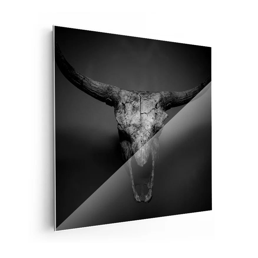 Bull skull Poster