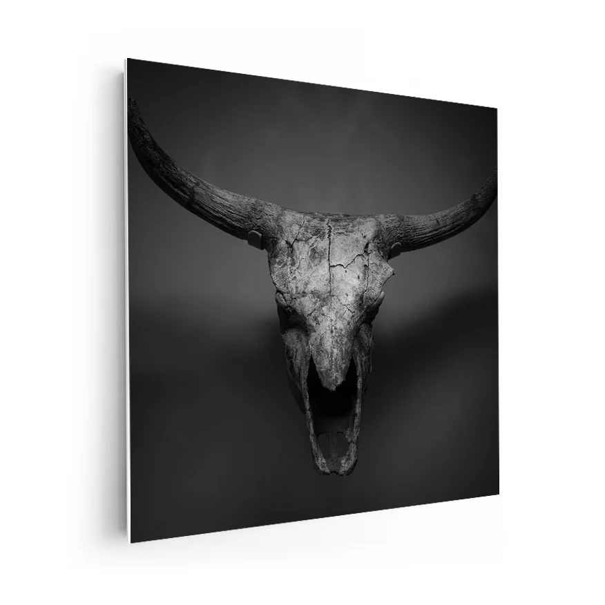 Bull skull Poster