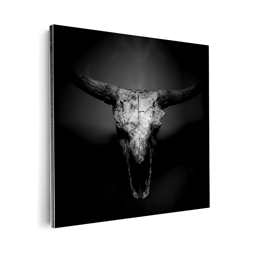 Bull skull Poster
