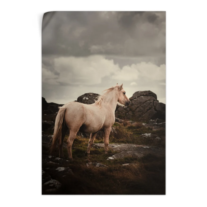 Caballo Vigilante Poster