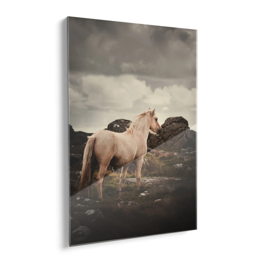 Caballo Vigilante Poster
