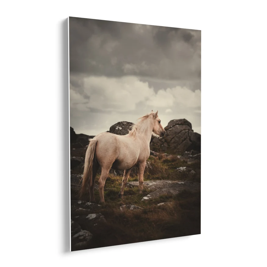 Caballo Vigilante Poster