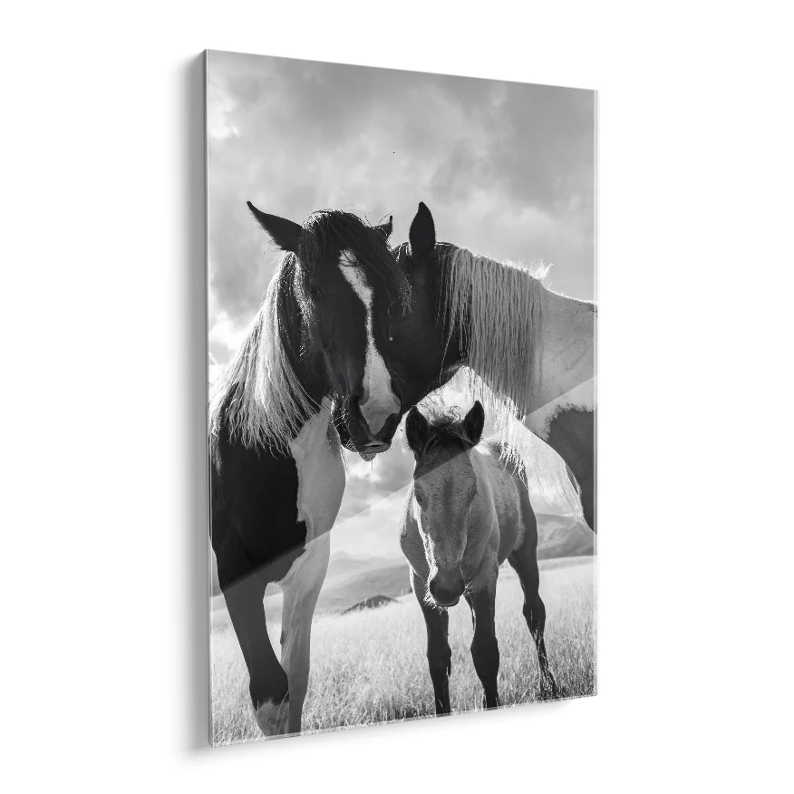 Caballos y Potrillo Poster
