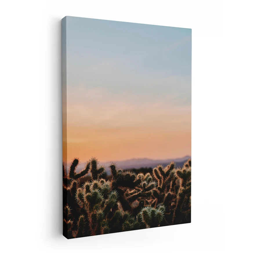 Cactáceas al Atardecer Poster