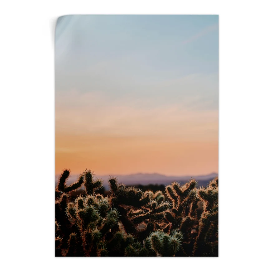 Cactáceas al Atardecer Poster