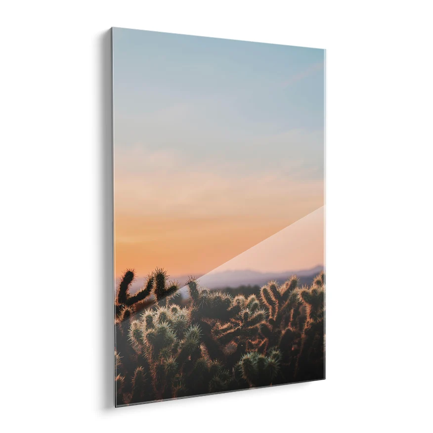 Cactáceas al Atardecer Poster
