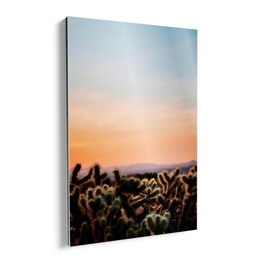 Cactáceas al Atardecer Poster