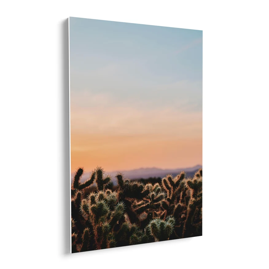 Cactáceas al Atardecer Poster