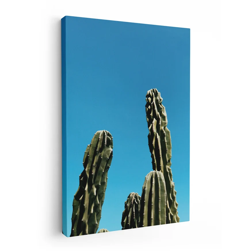 Cactus de Ordenador Poster