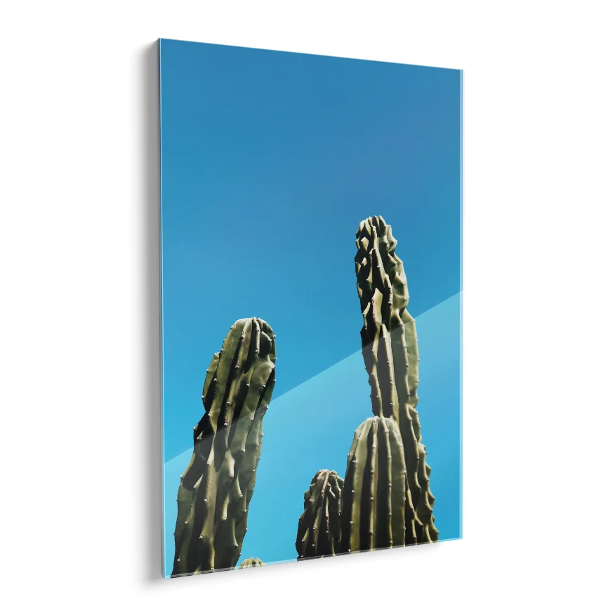 Cactus de Ordenador Poster