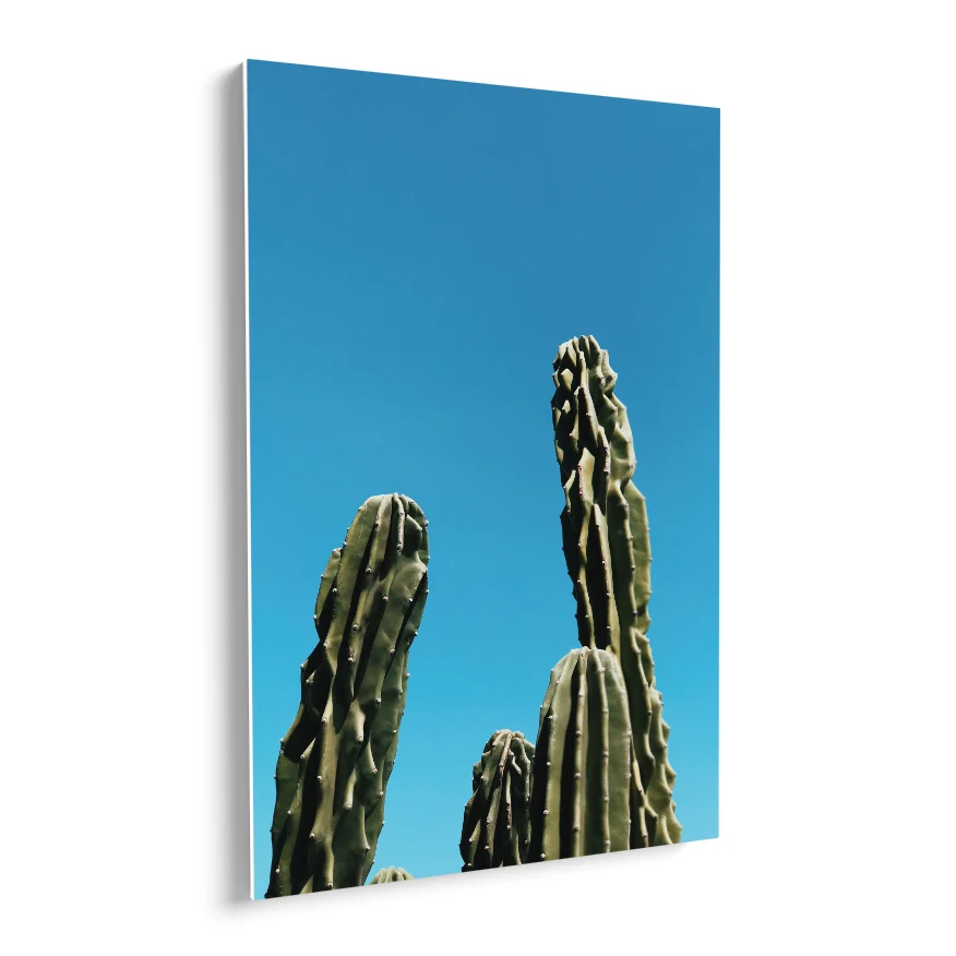 Cactus de Ordenador Poster