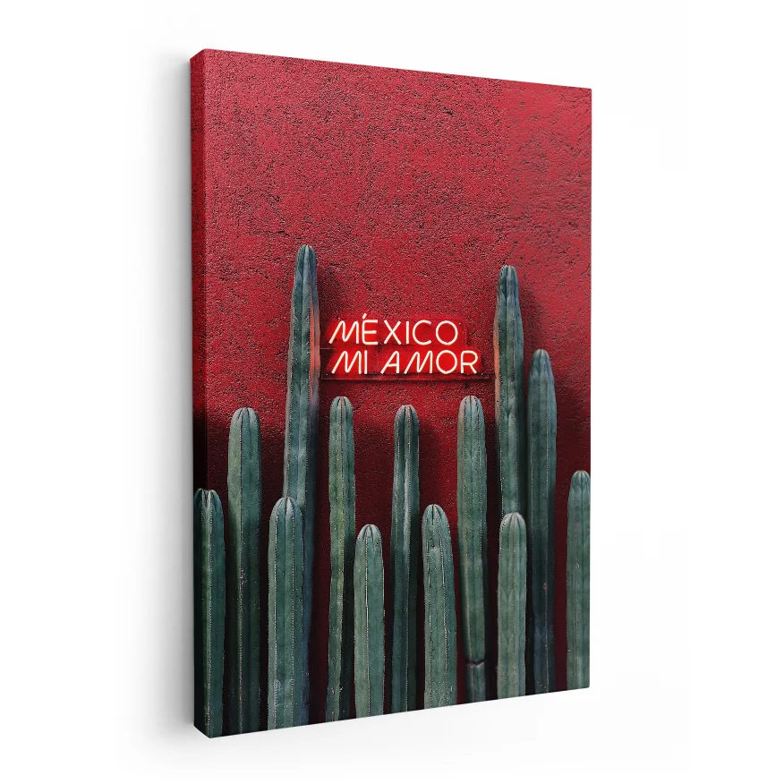 Cactus Ordenador Poster