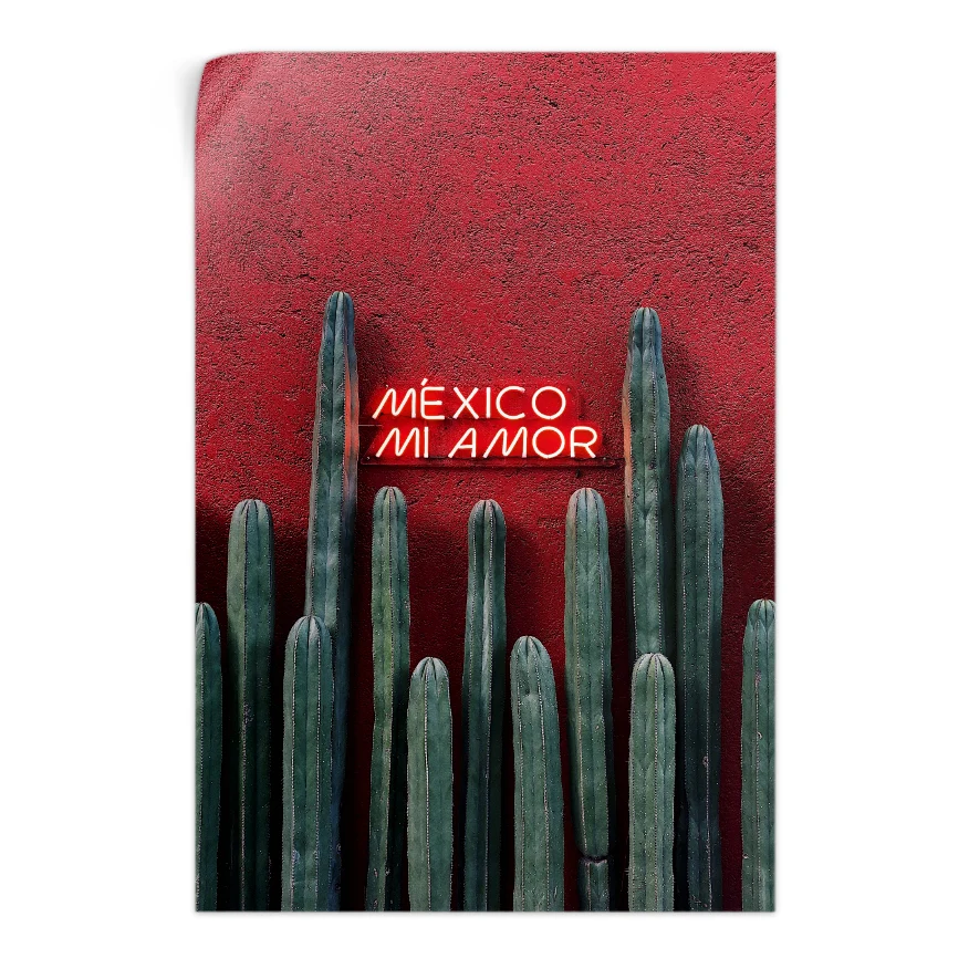 Cactus Ordenador Poster